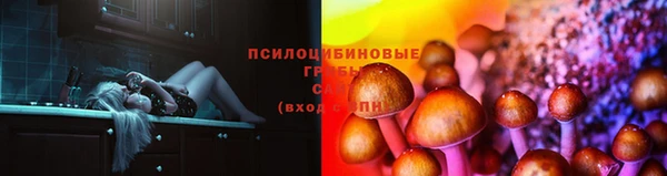 винт Армянск