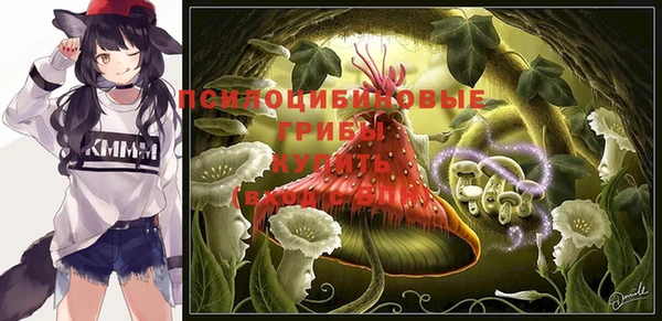 винт Армянск