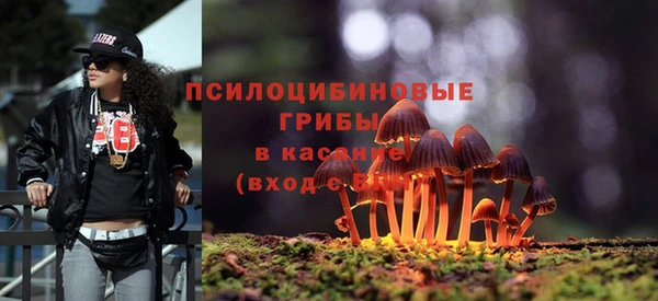 таблы Аркадак